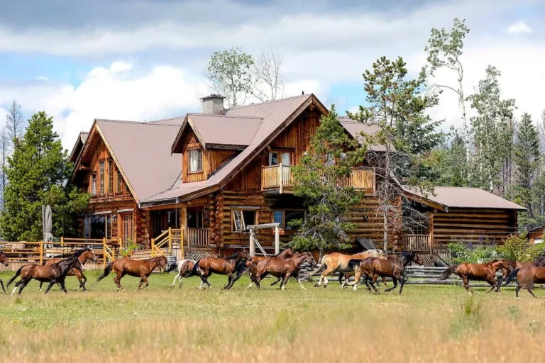 Luxury Ranch Stay USA: The 2026 Definitive Editorial Guide